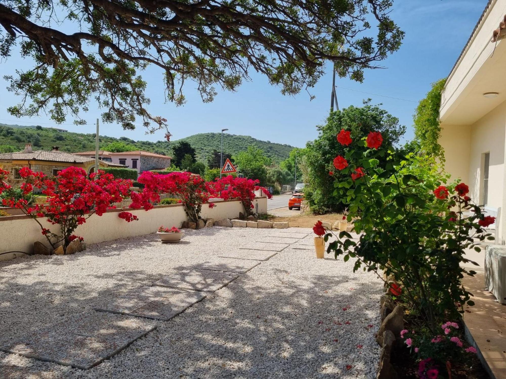 Apartament Stazzo San Teodoro Piscina Condivisa Zewnętrze zdjęcie